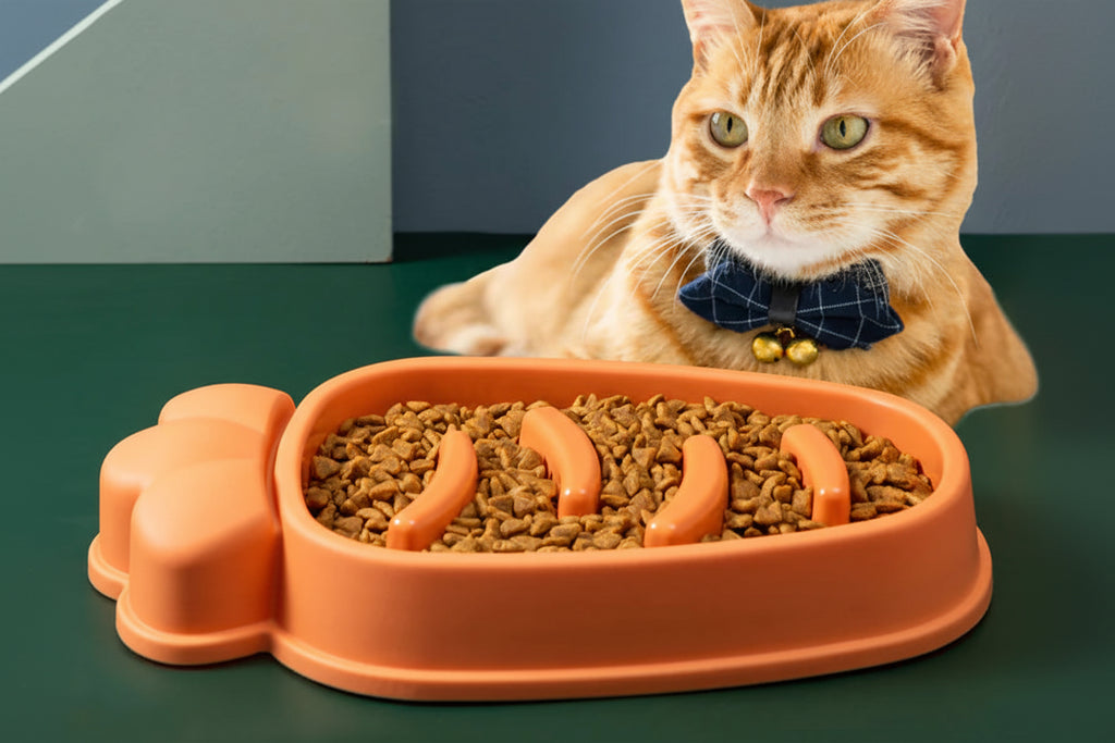 Cat sitting next to an orange pet food bowl filled with dry cat food on a green surface.