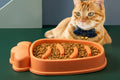Cat sitting next to an orange pet food bowl filled with dry cat food on a green surface.